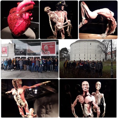 HTL Schüler besuchen die Ausstellung "Körperwelten"