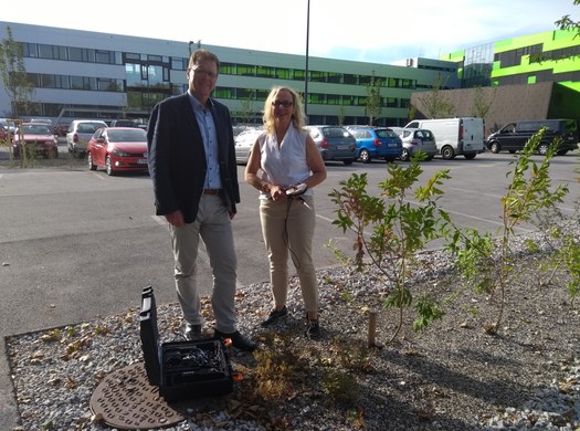 DrainGarden - Nachhaltiges Regenwassermanagement